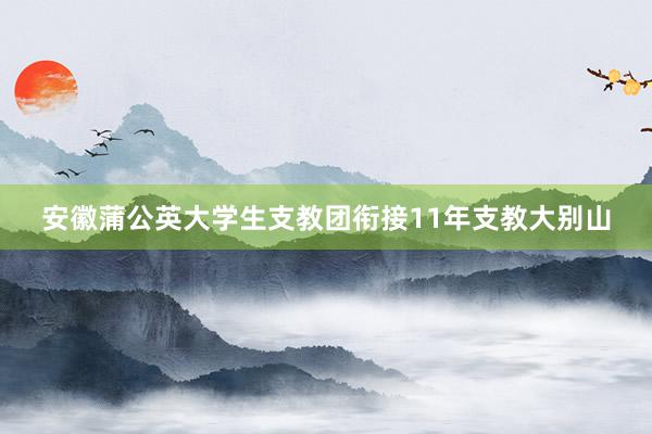 安徽蒲公英大学生支教团衔接11年支教大别山