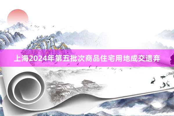 上海2024年第五批次商品住宅用地成交遗弃